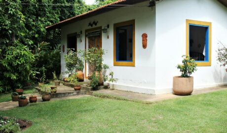 Eco-friendly în propria ta grădină: soluții sustenabile pentru casă și spațiu exterior