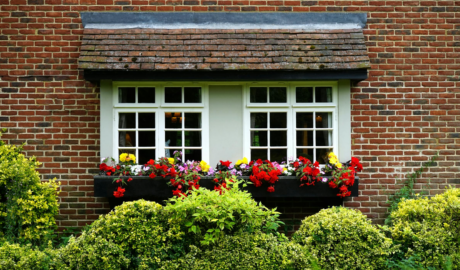 Transformarea Gradinii Tale într-un Paradis Verde