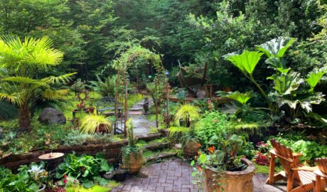 Culori șI texturi: cum să alegi materialele potrivite pentru grădina ta