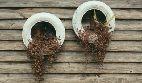 Cele mai frumoase grădini verticale: inspiră-te și creează-ți propria gradina