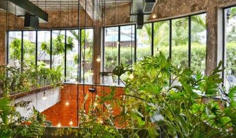 Idei creative pentru grădinile urbane: cum să-ți înfrumusețezi spațiul exterior