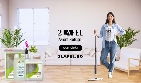 piatra decorativa interior, curatare piatra decorativa interior, design interior cu piatra naturala, tendinte amenajari 2026, intretinere pereti piatra naturala, decor perete piatra naturala